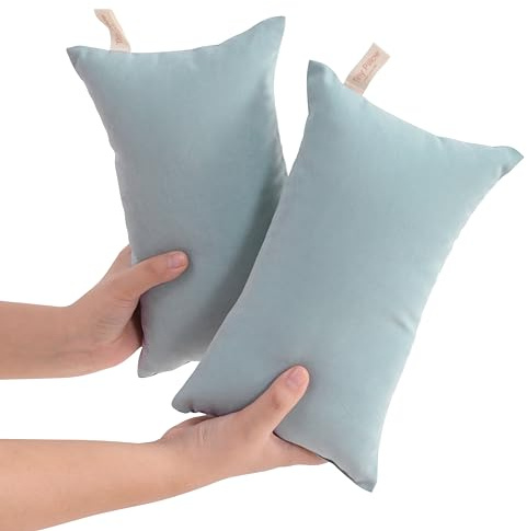 NTBAY Tiny Pillows, Down Alternative 7x11 Microfiber Mini Pillow for Travel, Pets, Soft Machine Washable Small Pillows for Neck, Wrist, Lumbar and Knee, Sea Green
