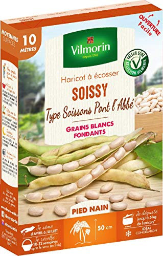 Vilmorin Haricot Soissy Boite série 10m, Blanc