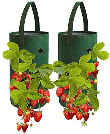 FOVERN1 Strawberry Grow Bags, 2 Pack 10 Gallon Gardens Hanging Strawberry Planter, Multifunction Vegetable Flower Strawberry Plant Grow Bags for Garden Strawberries, Herbs, Flowers (22 x 38cm)
