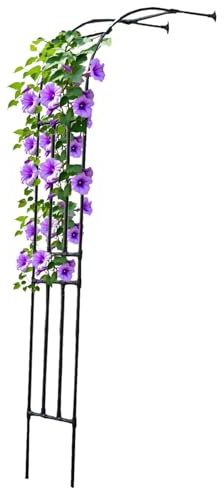 Arche de jardin pour plantes grimpantes,Demi-arche Arceau à rosiers,Solide Et Durable Treillis,Pergola pour extérieur,60/90/120/150/180/200/220/240/250/270/300cm Large,Noir(HLP: 240 x 300 x 40cm)