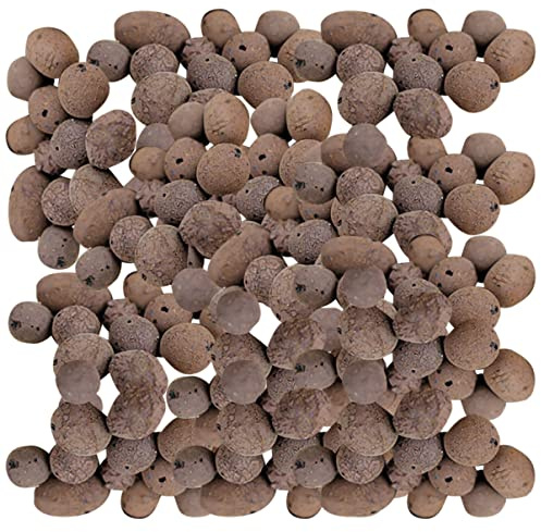 Abaodam Ceramsite per Giardinaggio e Vaso da Fiori in Ceramica 1 kg, Pietre Ceramsite Drenanti per Piante in Vaso e Acquari, Substrato Traspirante Ioni Negativi per Coltivazione e Decorazione