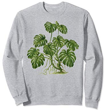 Plante d'intérieur Jardin botanique Monstera Deliciosa Sweatshirt