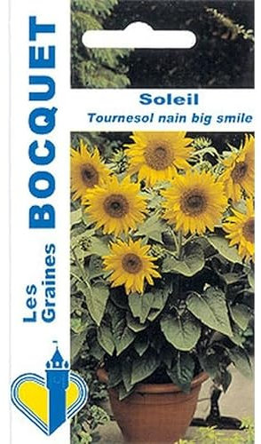 Sachet de graines de Soleil tournesol nain jaune Big Smile - 3 g - fleur annuelle - LES GRAINES BOCQUET
