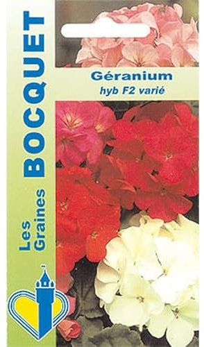 Sachet de graines de Géranium HYB F2 varié - 0,5 g - fleur annuelle - LES GRAINES BOCQUET