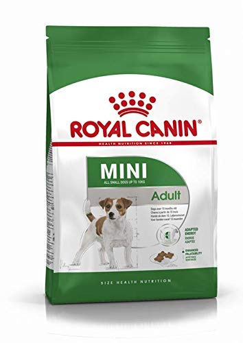 RoyalCanin Mini-Erwachsenenfutter für kleine Hunde und Toys | Gastro-Darm-Futter mit großem Geschmack, das das Gewicht kontrolliert, entfernt Zahnfleisch und hält das Haar und die gesunde Haut (8 kg)