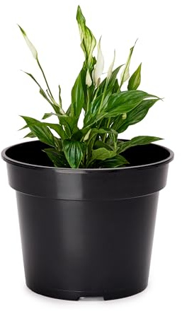 Garronda Pots Horticulture Ronds Pots pour Culture de Plants de Plantes et Fleurs GD-0025 (Noir, ⌀ 31 cm H 24 cm)