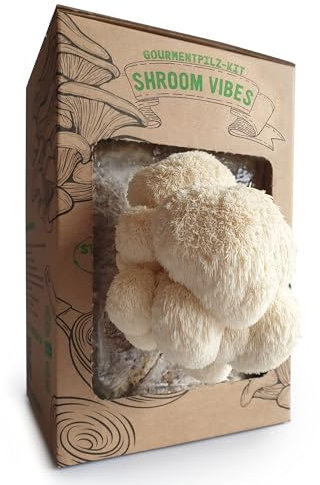 BIO Pilzzuchtset | Löwenmähne Pilz (Hericium erinaceus) kinderleicht selbst züchten | Pilzzuchtset für Zuhause | Komplettes Pilzzuchtset in Bio-Qualität