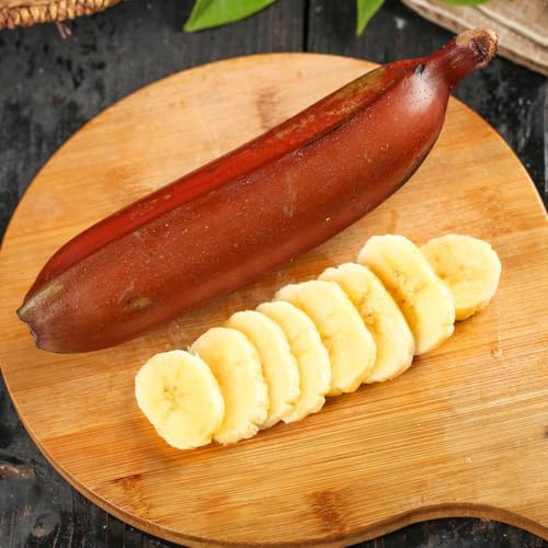 Semi di banano - serre da balcone semi di resistenti per il giardino acquistare da frutto frutto colonnare resistente vecchie varietà comprare 35pcs
