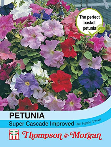 Thompson & Morgan - Flowers - Petunia Super Cascade Improved Mixed F1 Hybrid - 40 Seed