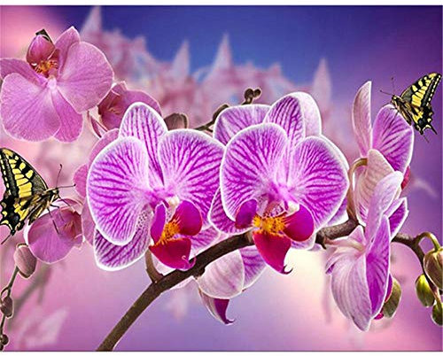 Klassische Puzzle 3000 Teile - Blumen und Schmetterlinge,Puzzle für Erwachsene Kinder,Farbenfrohes Puzzle für Erwachsene und Kinder ab 8 Jahren,Geschicklichkeitsspiel für die Ganze Familie.-48.03x31.