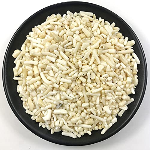50 Gramm Naturozean Crushed Coral Aquarium Kies Dekor F214 FFS Natursteine