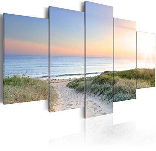 Cuadros B&D XXL - Cuadro Acústico Playa Naturaleza 100x50 cm espuma acústica absorbe el sonido aislamiento lienzo de 5 piezas Impresión Artística Decoración de Pared c-A-0048-b-m