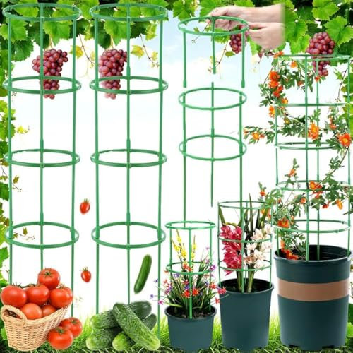 Weploda 100 Pezzi Traliccio Per Pomodori, Gabbie Per Pomodori Con Altezza Regolabile, Pali Di Supporto Per Piante, Traliccio Da Giardino Arrampicata Per Ortaggi, Frutta E Fiori(50 Anelli + 50 Aste)