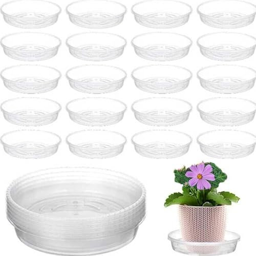 Constprog Lot de 10 soucoupes rondes en plastique transparent pour pot de fleurs (20 cm-10 pièces)