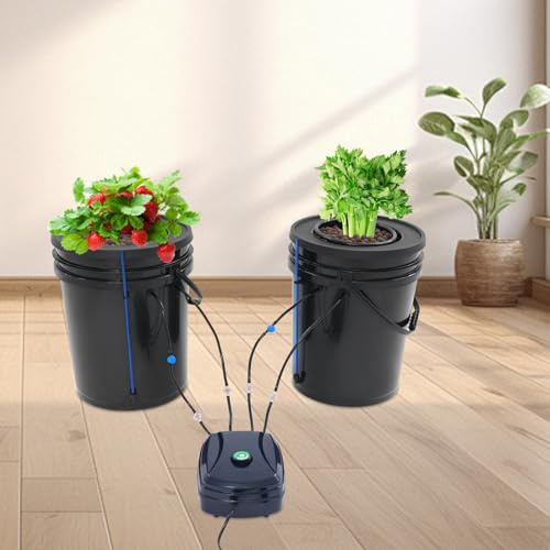 Hydroponics Grow System 5 galloni di coltura acque profonde, 2 secchi sistema di coltivazione idroponica con pompa ad aria e kit di gocciolamento, idroponica per tende da coltivazione, per interni
