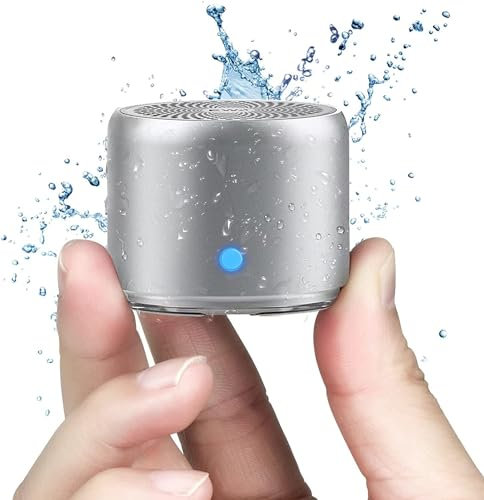EWA A106 Bluetooth Lautsprecher Wasserdicht, Tragbarer kabelloser Outdoor Mini Lautsprecher, Starkem Bass mit Bass-Radiatoren, 12 Stunden Wiedergabe, mit Eva Reise Tragen Case und Karabiner (Silber)