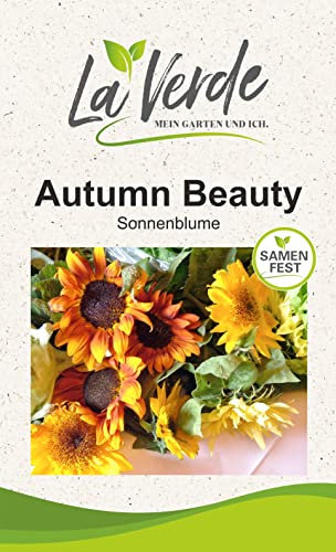 Sonnenblume Autumn Beauty Blumensamen Orange