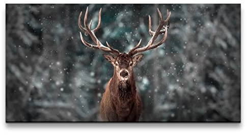 Paul Sinus Leinwandbild 120x60cm Hirsch Hirschgeweih Wald Schnee schönes Tier Natur