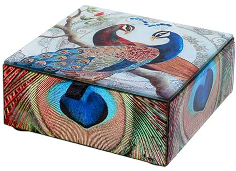 QUEENYARD Versatile Jewelry Storage Box Stylish Glass Jewelry Container Strorage Box for Rings and Necklaces Collection