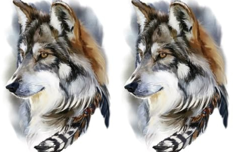 2 Blätter Temporary Wolf Tattoo Tier Tattoo Arm Tattoo Tier Klebetattoo LC605x2