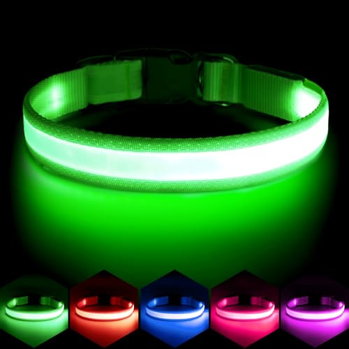 Vizpet LED Dog Collar, Light Up Dog Collar Adjustable USB Rechargeable Super Bright Safety Light Glowing Collars for Dogs(Large,Green)