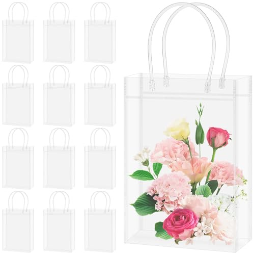 JIANTA 12 Stück Geschenktüten Durchsichtig mit Griffen, Kleine Geschenktüte | Geschenktaschen Transparent mit Henkel für Kindergeburtstag, Weihnachten, Hochzeiten (23 x 16 x 7 cm)