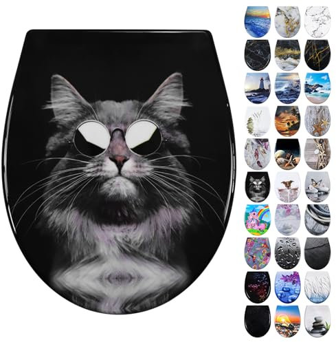 Fanmitrk WC Sitz mit Absenkautomatik, Toilettendeckel Duroplast, Klodeckel mit Schnellverschluss, Klobrille Montage von oben, Toilettensitz mit Motiv