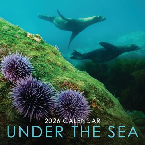 2026 Under the Sea 30,48 cm x 30,48 cm Kvadratisk Väggkalender med Fantastisk Undervattensfotografi av Havsliv - Inget Plast, Miljövänligt. Daglig, Vecko, Månadsplanerare 12 Månader