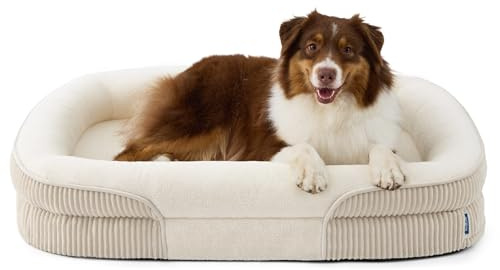 BEDSURE orthopädisches Hundebett große Hunde, 97x71x18cm, Creme | 360° ovales Hundesofa mit erhöhtem Rand für Senioren, wasserdichter und waschbarer Bezug, aus ultraweichem Fleece, stützendes