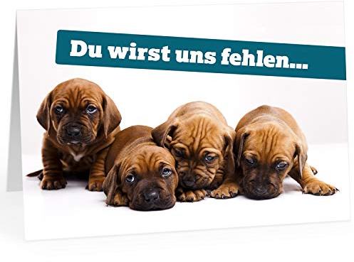 XXL Abschiedskarte (A4) | Traurige Welpen - Du wirst uns fehlen | mit Umschlag | edle und hochwertige Klappkarte | Zum Abschied | Große Karte für Kollegen, Pension, Rente | Maxi Karte | Überformat