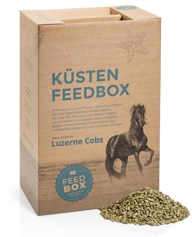 STRÖH Küsten Luzerne Cobs für Pferde (30 kg Feedbox) • Luzernecobs mit Eisen, Kalzium, Magnesium & Kalium • Raufutter Snack • Pferde Leckerlis • Heuersatz Pferd