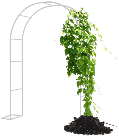 Arche de jardin treillis pour plantes grimpantes Support en métal pour mariage extérieur Arches décoratives en blanc Tailles 80 cm à 350 cm Design élégant et durable