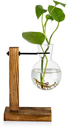 Vermehrungsstation Mit Holzregal 1 Birne Vintage Avocado Vase Glas Reagenzglas Vasen Für Blumen Eichel Pflanze Für Home Table Desk Indoor Decor