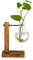 Vermehrungsstation Mit Holzregal 1 Birne Vintage Avocado Vase Glas Reagenzglas Vasen Für Blumen Eichel Pflanze Für Home Table Desk Indoor Decor