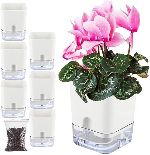 Planterhoma Lot de 6 pots de fleurs carrés transparents à auto-arrosage pour plantes d'intérieur - 14 cm - Pour lierre du diable, plante araignée, orchidée, violette africaine