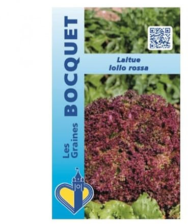 Sachet de graines de Laitue à couper Lollo Rossa - 3 g - légume feuille - LES GRAINES BOCQUET