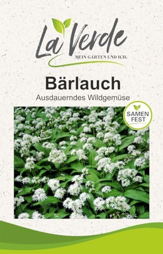 Bärlauch Kräutersamen
