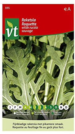 Roquette Sauvage Graines - Goût plus fort