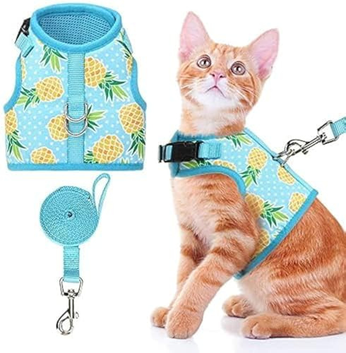 BINGPET Katzengeschirr – mit Leine im Lieferumfang enthalten – Mesh-Geschirr für Katzen und Hunde, verstellbares Geschirr für Kätzchen, Welpen, Geschirr verstellbar