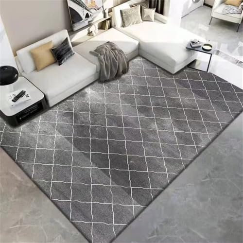 RUGMRZ tappeto pelo corto Tappeti Per Cucina tappeto economico 250x300CM grigio Tappeto da esterno resistente antivegetativo con motivo a quadri moderno