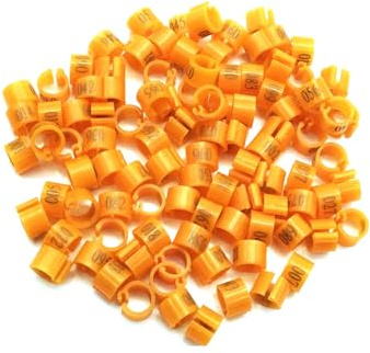 Taubenbein, Geflügel, Taube, Vogel, Papagei, Clipringe, Band, Fußring, Taubenbedarf, Innendurchmesser 6 mm, Nummer 001 bis 100,Orange,100 Stück
