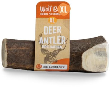 Wolf Belly - Corno di Cervo per Cani (Taglia XL) | Masticativi Naturali e Resistenti | Riduce Tartaro e Placca | Ricco di Calcio e Proteine | Allevia Stress e Ansia - Prodotto in Europa