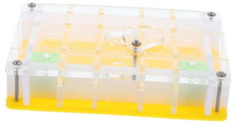 PAMINGONO Acryl Ameisenbehausung Für Kinder Ameisenbeobachtungsbox Mit Belüftung Transparent Ökologische Ameisenfarm Für Wissenschaftsexperimente Und Haustierhaltung
