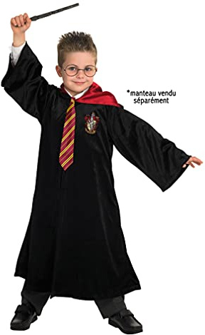 Rubies Kit accessori di Harry Potter per ragazzi include occhiali, bacchetta di Harry Potter e cravatta. Warner ufficiale, per Carnevale, Natale, Compleanni, Feste e Halloween.