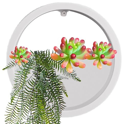 TARAKO Durchsichtiger Übertopf zur Wandmontage, runder Wandblumentopf, Klarer runder Blumentopf zum Aufhängen, Wandvase, Sukkulenten-Übertopf, Kreis, runder Blumentopf, vertikaler Innenbehälter,