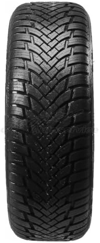 245/40YR18 PETLAS TL ALL SEASON PT565 XL (NEU) 97Y *E*
