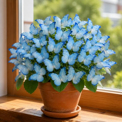 Rizomas de Hosta, Planta Perenne Resistente al Frío, Ideal para Zonas de Sombra y Decoración de Jardines-1a-4 bulbo-D