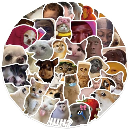 50 Stück Lustige Meme Sticker Set,Meme Aufkleber für Auto Laptop Skateboard Fahrrad Moped Motorrad Fahrrad Computer,Geeignet für Erwachsene (Meme mix)
