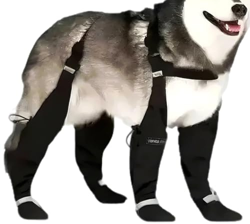 Hundestiefel Mit Hosenträger - Rutschfeste Und Wasserdichte Hundeschuhe - Welpen Stiefel Als Pfotenschutz Und Regenschuhe | Für Mittelgroße Bis Große Rassen Für Spaziergänge Wanderungen Bei Schnee