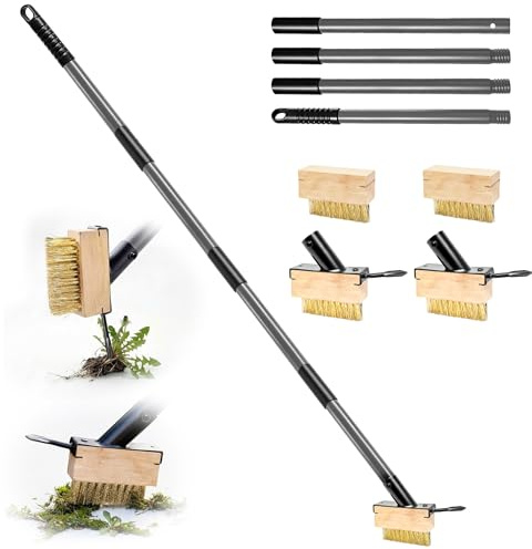 Draome Weed Remover Brush Tool & Moss Remover Set | with 63 Adjustable Long Handle, 4 Replaceable Metal Heads, Angled Bristles for Block Paving, Driveway and Garden Path